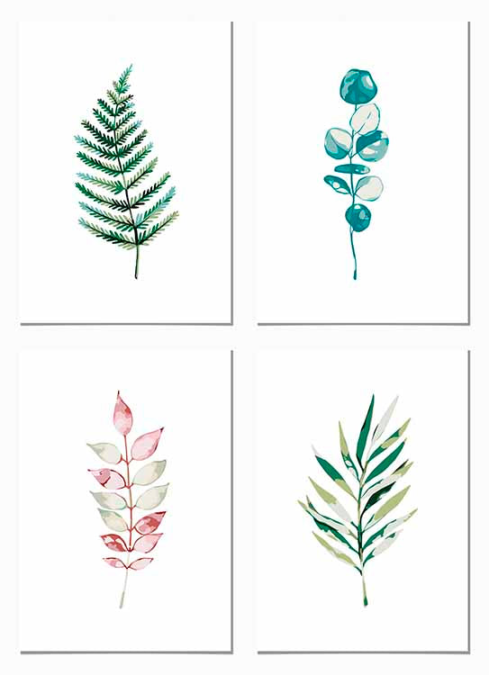 Cuadro Pack Plantas Botánica Home & Living