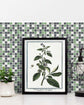 Azulejo Adhesivo Cuadrado Verde Home & Living 