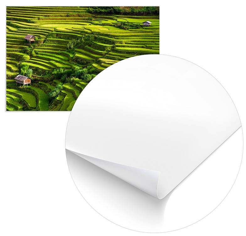 Cuadro Arrozales Bali Home & Living 