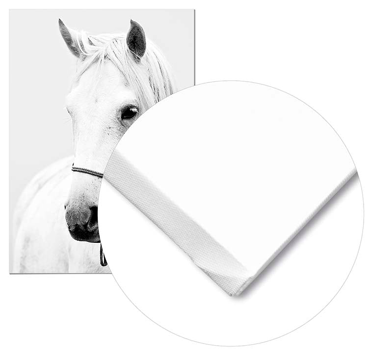 Cuadro Caballo Home & Living 