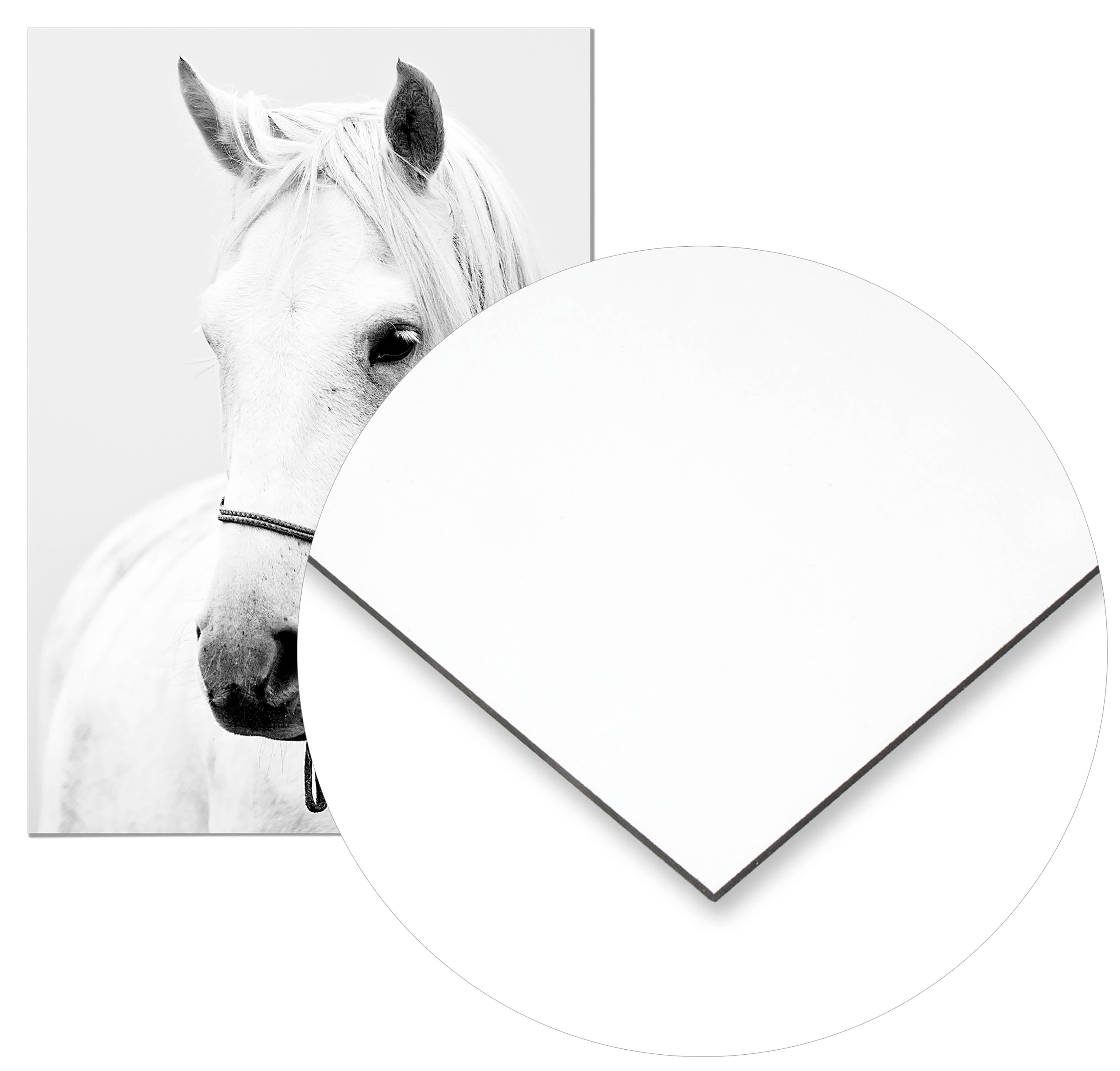 Cuadro Caballo Home & Living 