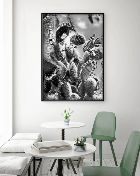 Cuadro Cactus Blanco y Negro freeshipping - Home and Living