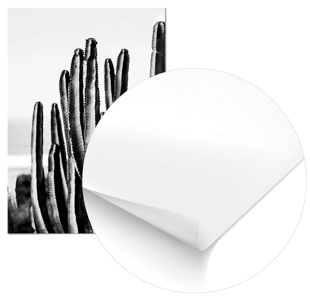 Cuadro Cactus freeshipping - Home and Living