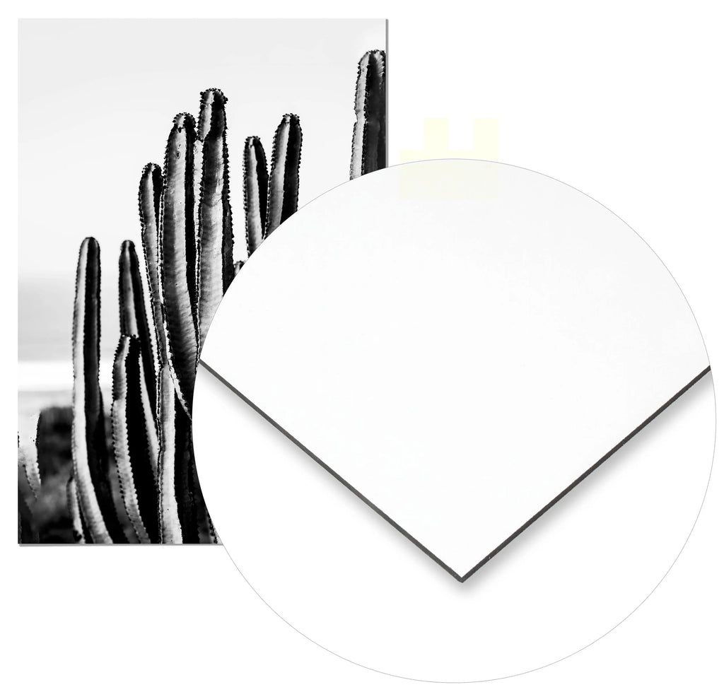 Cuadro Cactus freeshipping - Home and Living