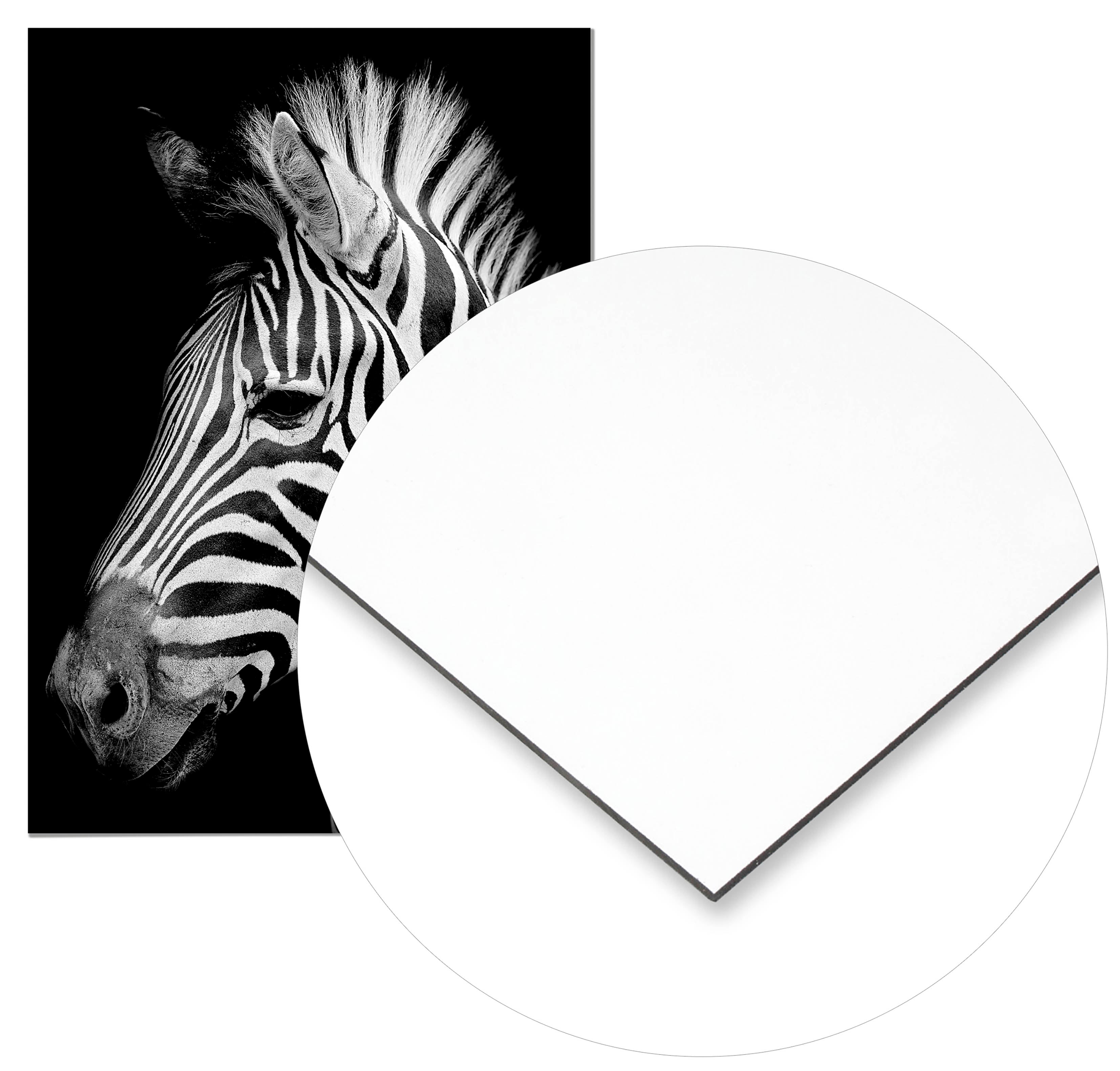 Cuadro Cebra Home & Living 