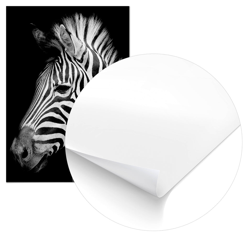 Cuadro Cebra Home & Living 