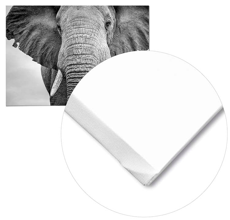 Cuadro Elefante Home & Living 