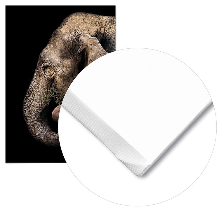 Cuadro Elefante Perfil Home & Living 