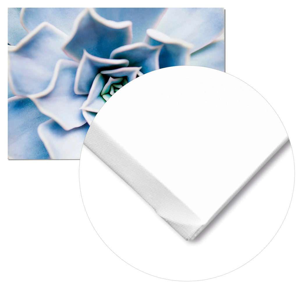 Cuadro Flor Suculenta freeshipping - Home and Living