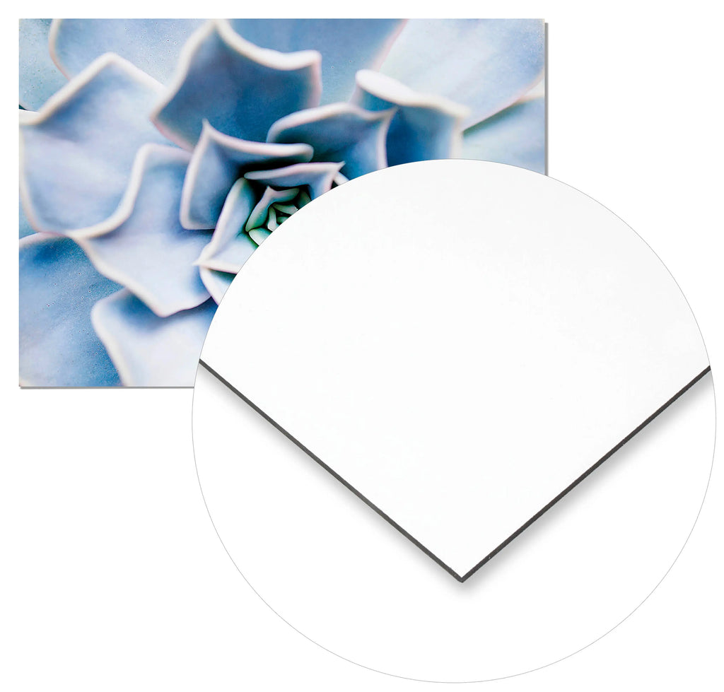 Cuadro Flor Suculenta freeshipping - Home and Living