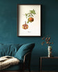 Cuadro Granada Vintage freeshipping - Home and Living