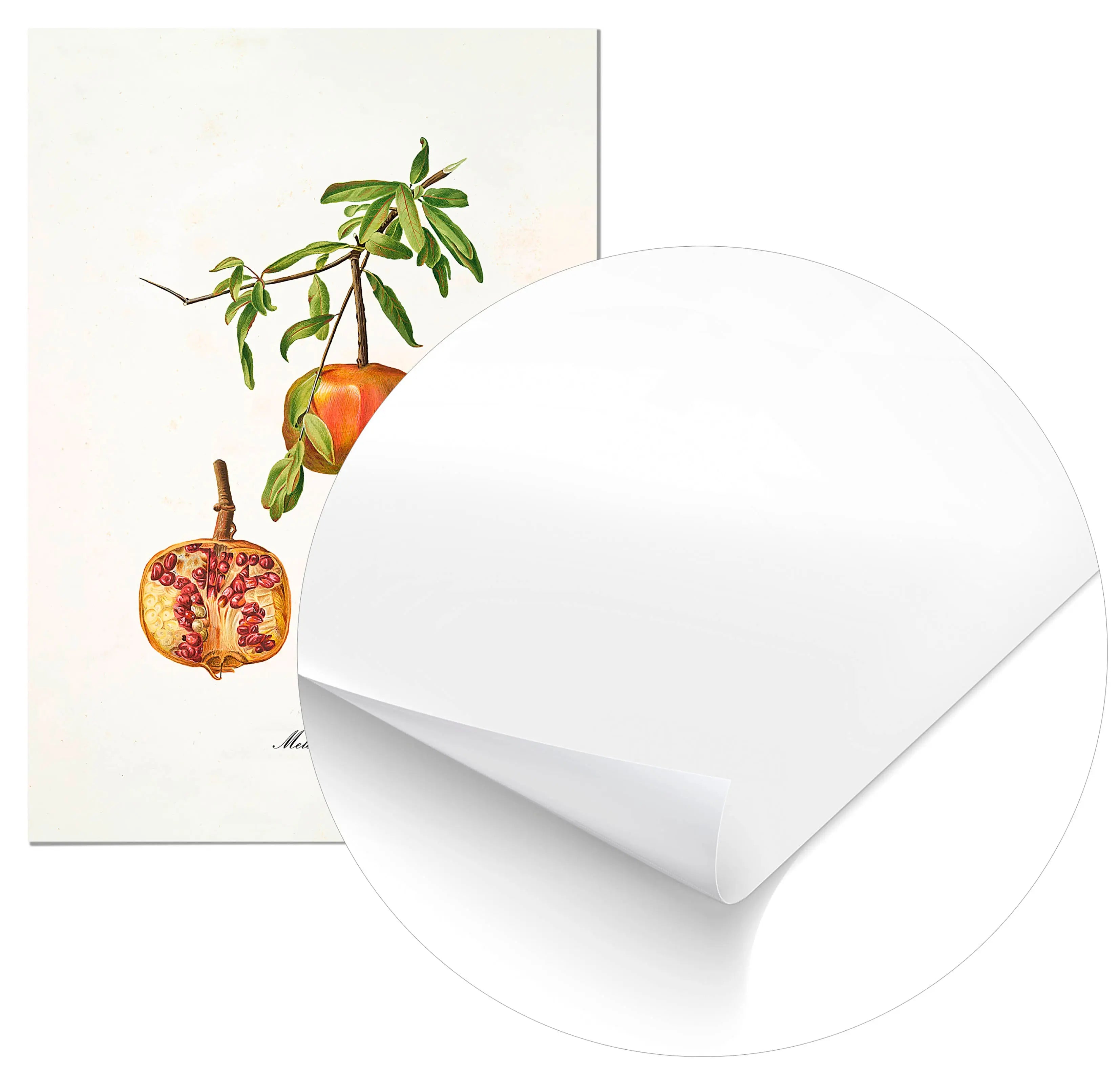 Cuadro Granada Vintage freeshipping - Home and Living