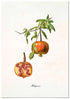 Cuadro Granada Vintage Home & Living 
