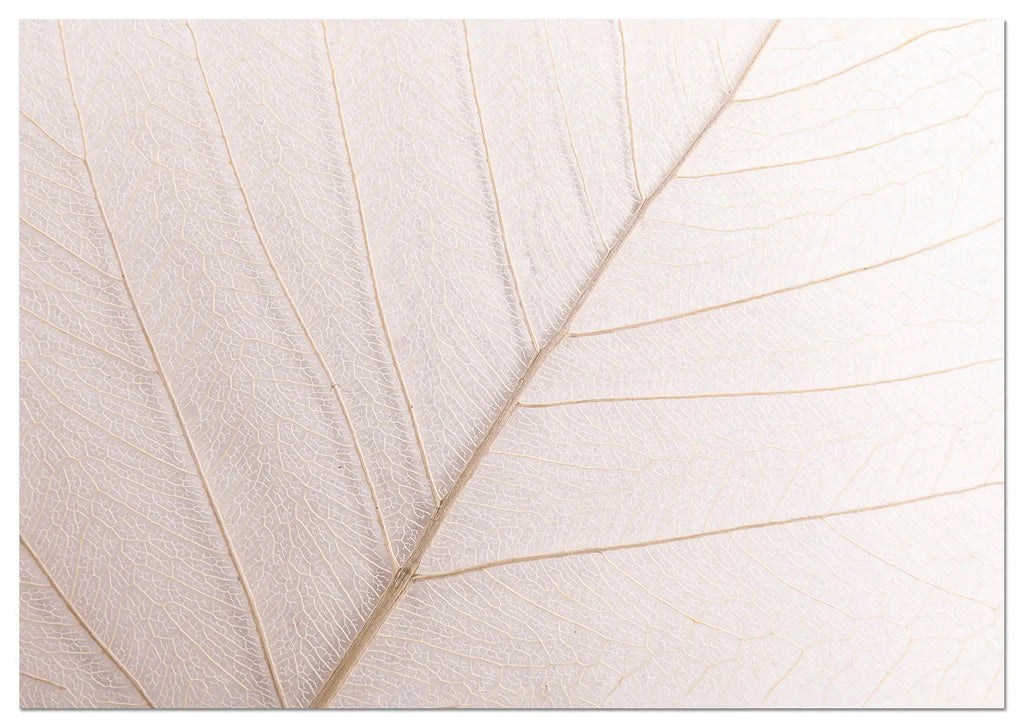 Cuadro Hoja Neutra freeshipping - Home and Living