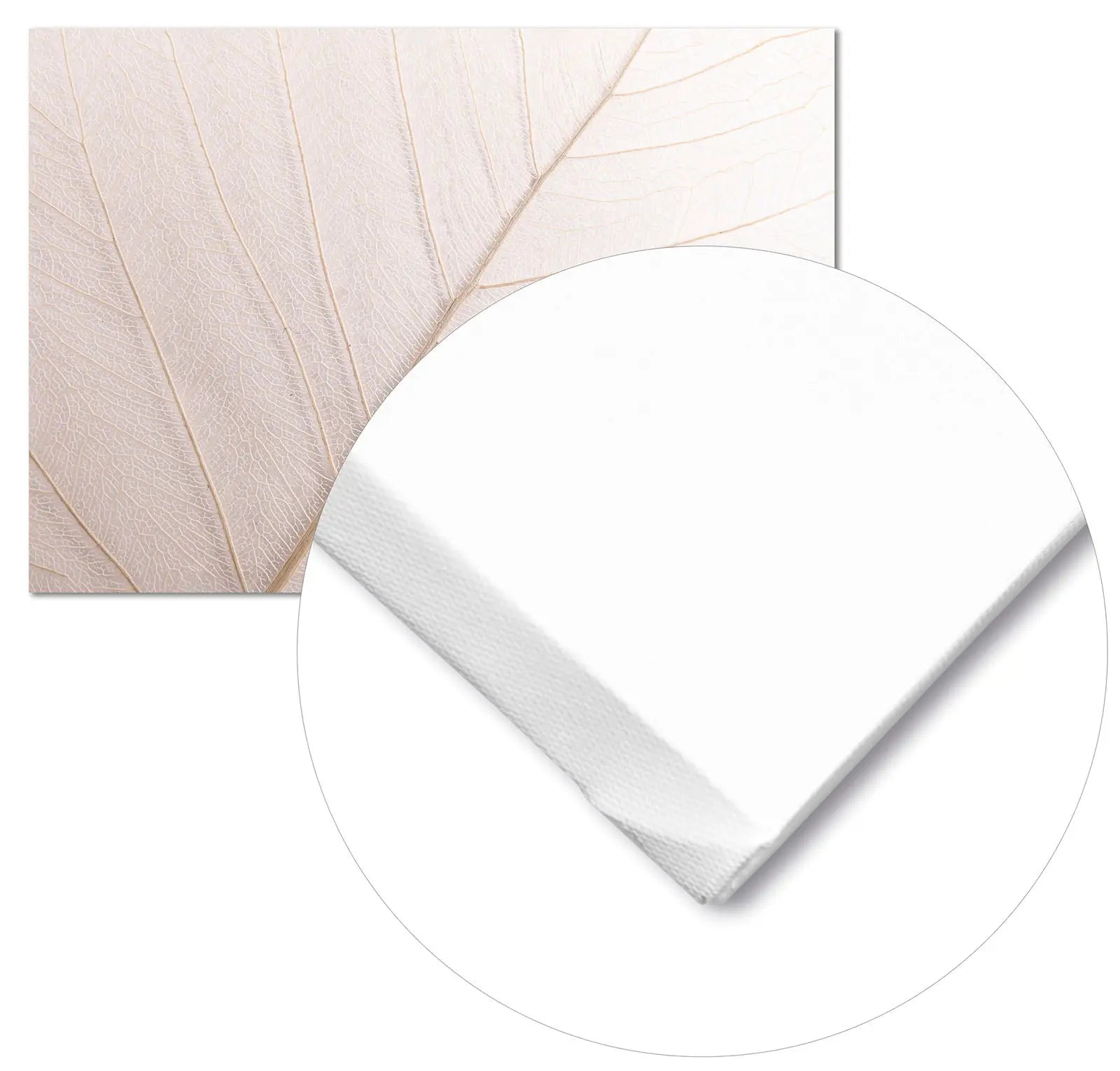 Cuadro Hoja Neutra Home & Living Lienzo21x30cm