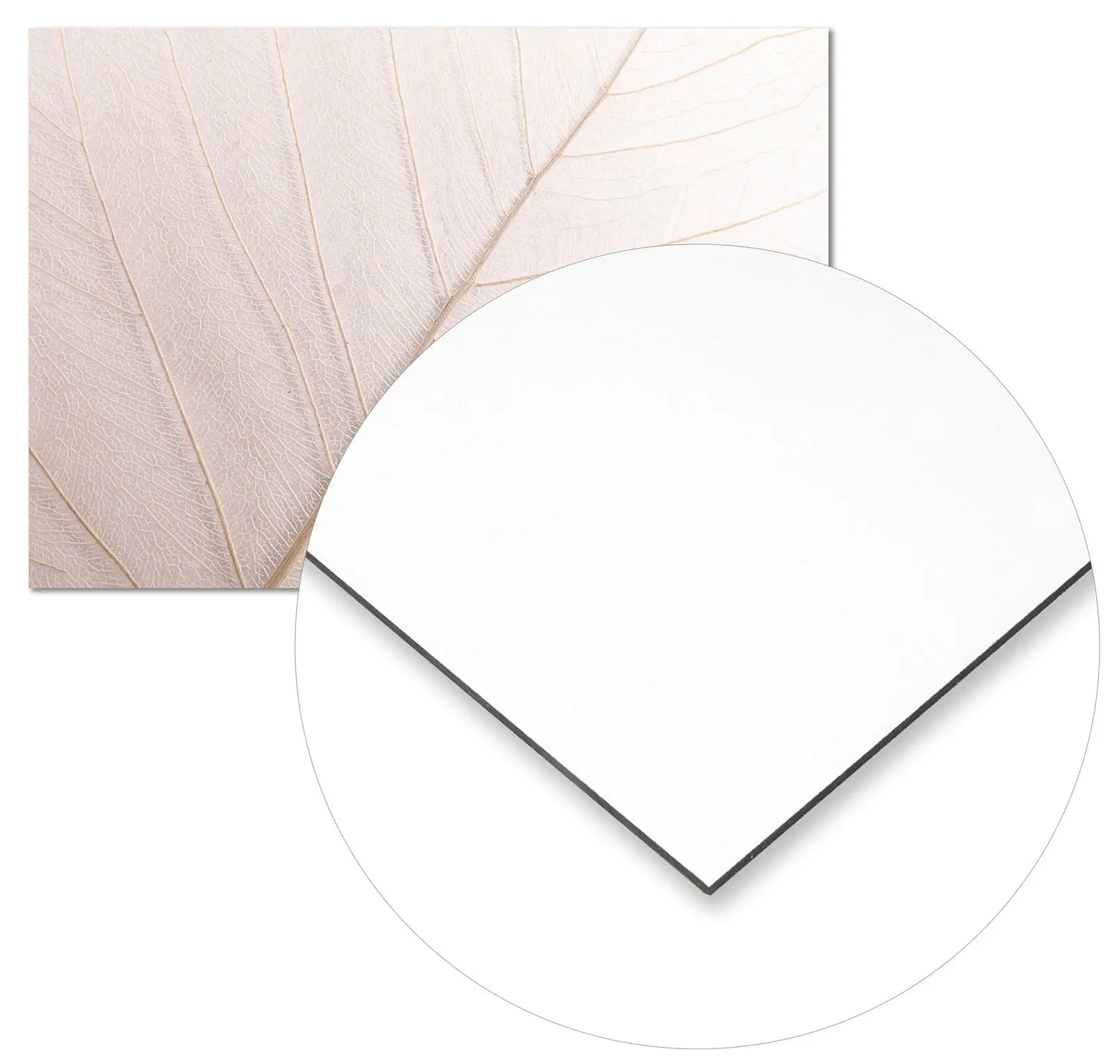 Cuadro Hoja Neutra Home & Living Metal21x30cm