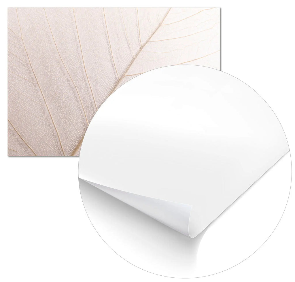 Cuadro Hoja Neutra Home & Living Póster21x30cm