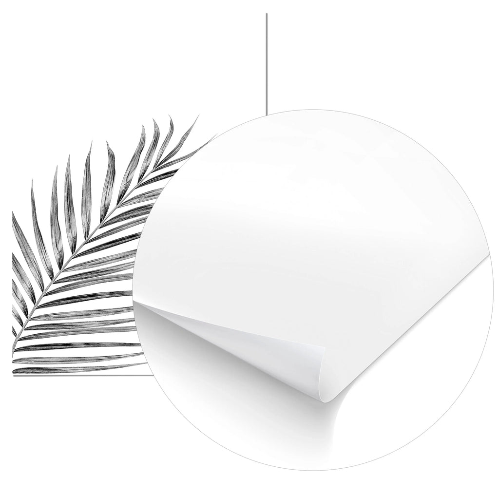 Cuadro Hoja de Palmera Negra freeshipping - Home and Living