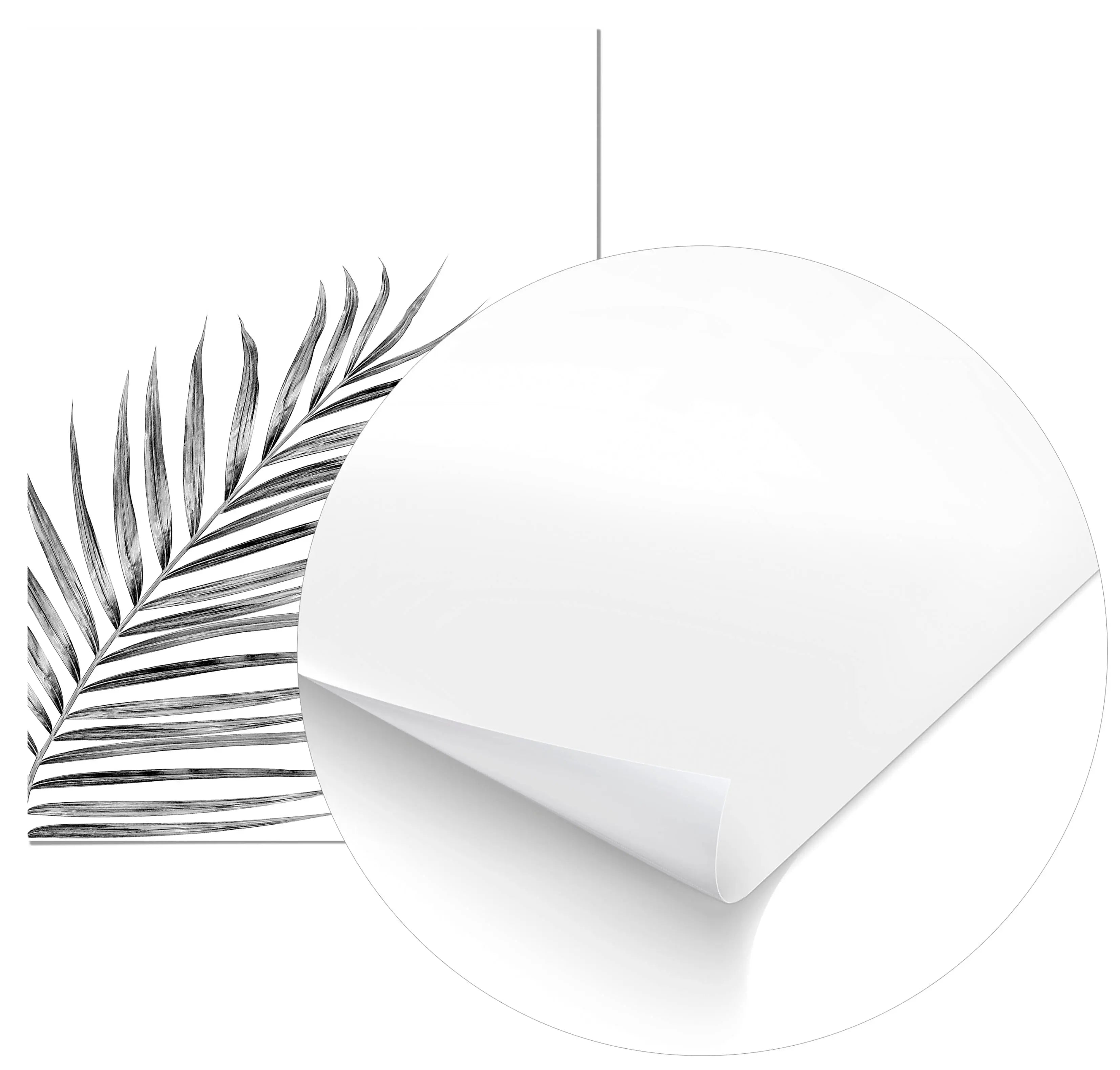 Cuadro Hoja de Palmera Negra freeshipping - Home and Living