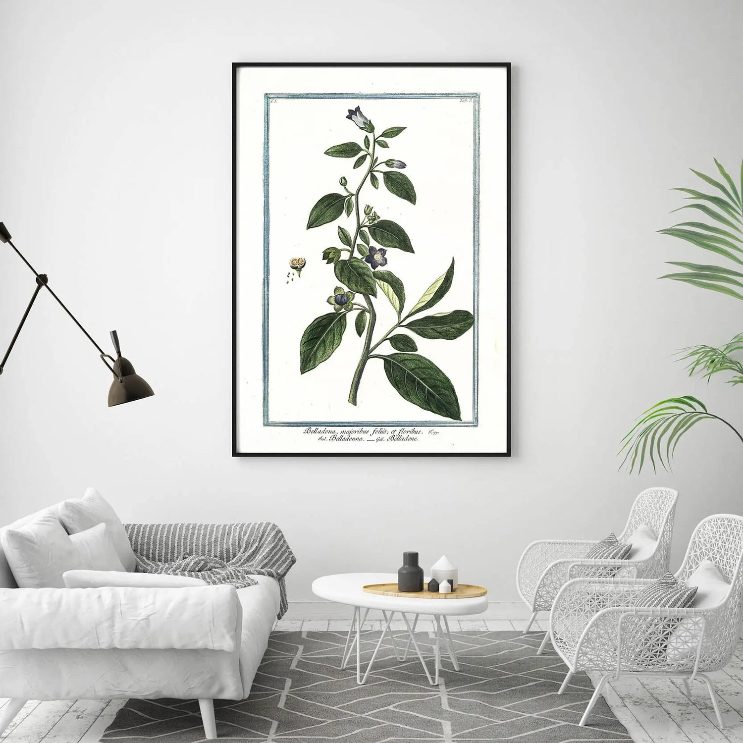 Cuadro Ilustración Botánica Belladona freeshipping - Home and Living