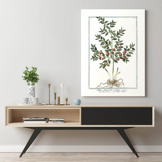 Cuadro Ilustración Botánica Ruscus freeshipping - Home and Living