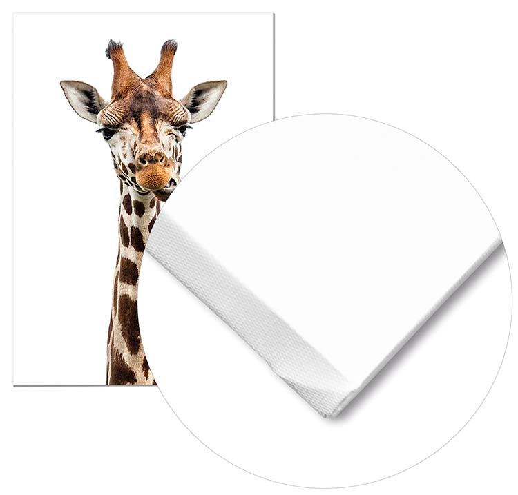 Cuadro Jirafa Home & Living 