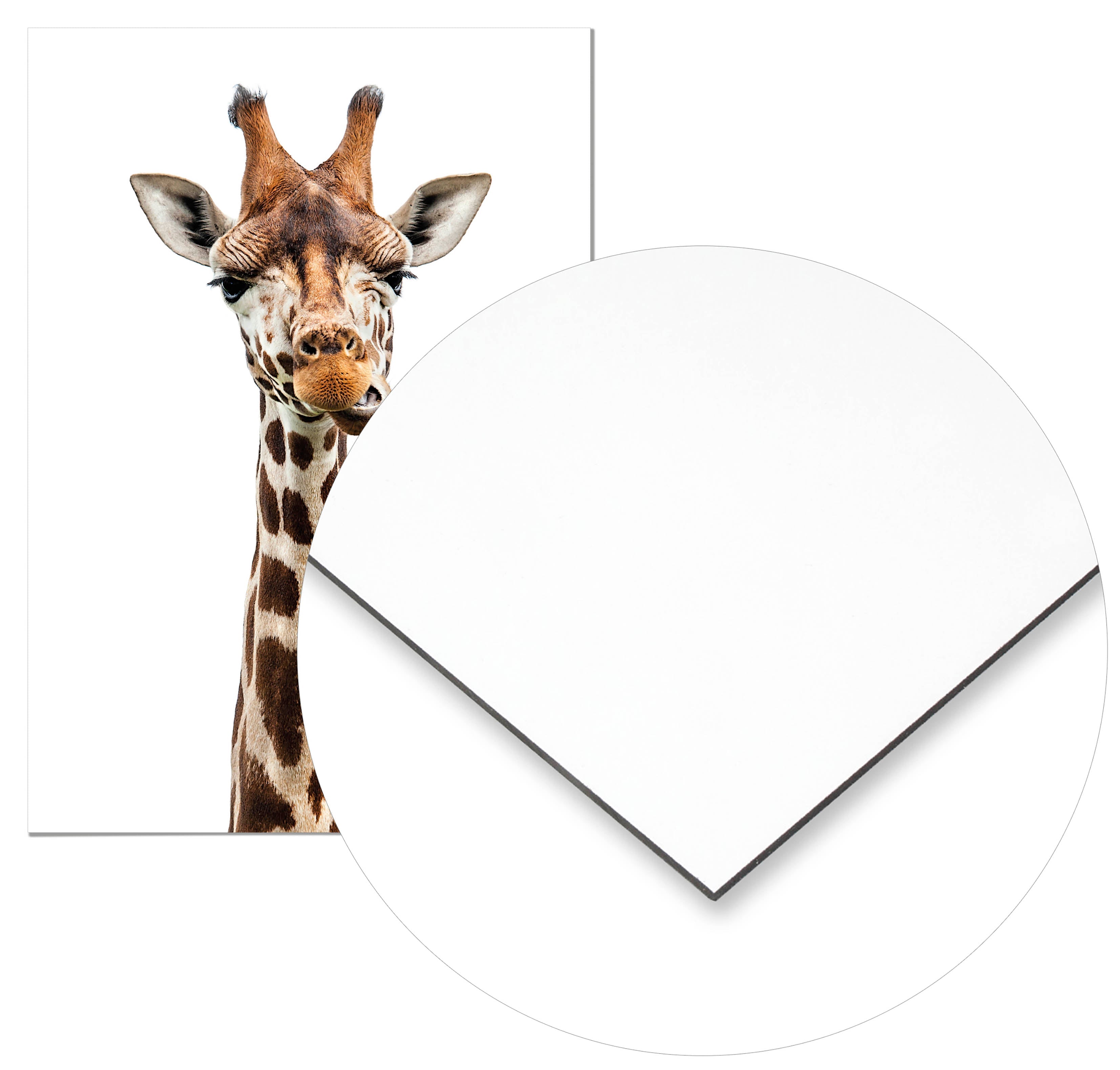 Cuadro Jirafa Home & Living 