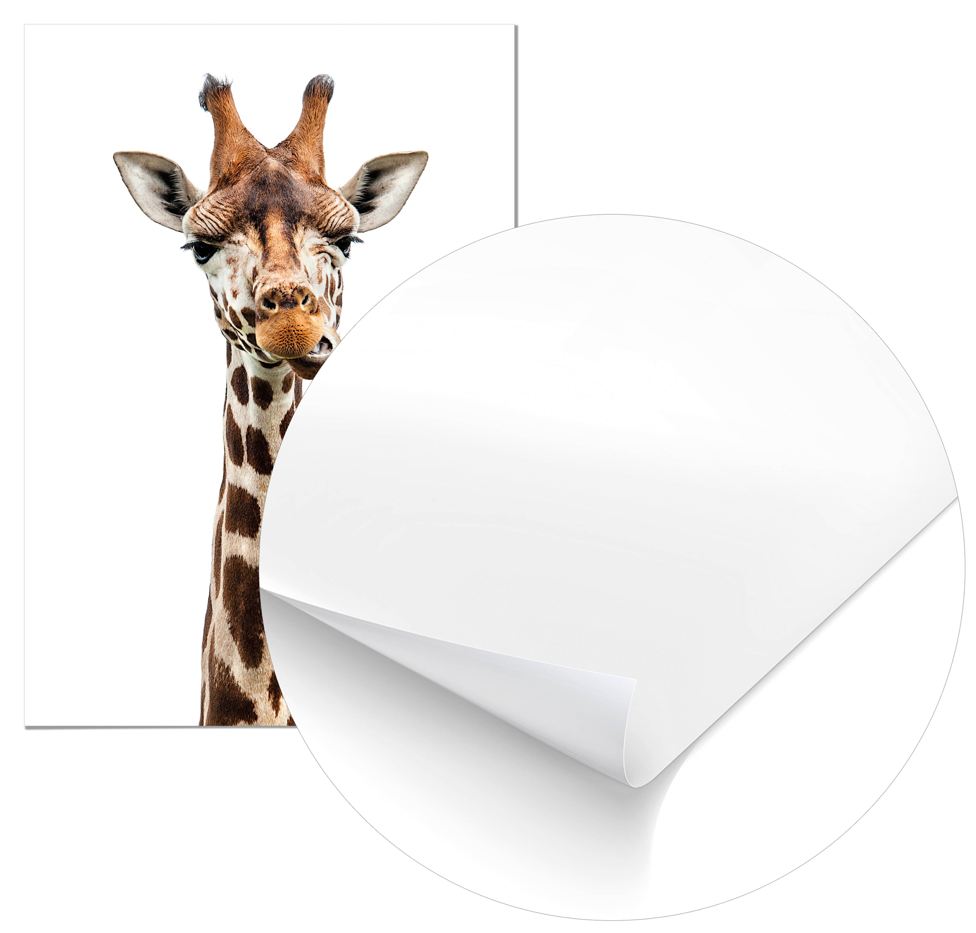 Cuadro Jirafa Home & Living 