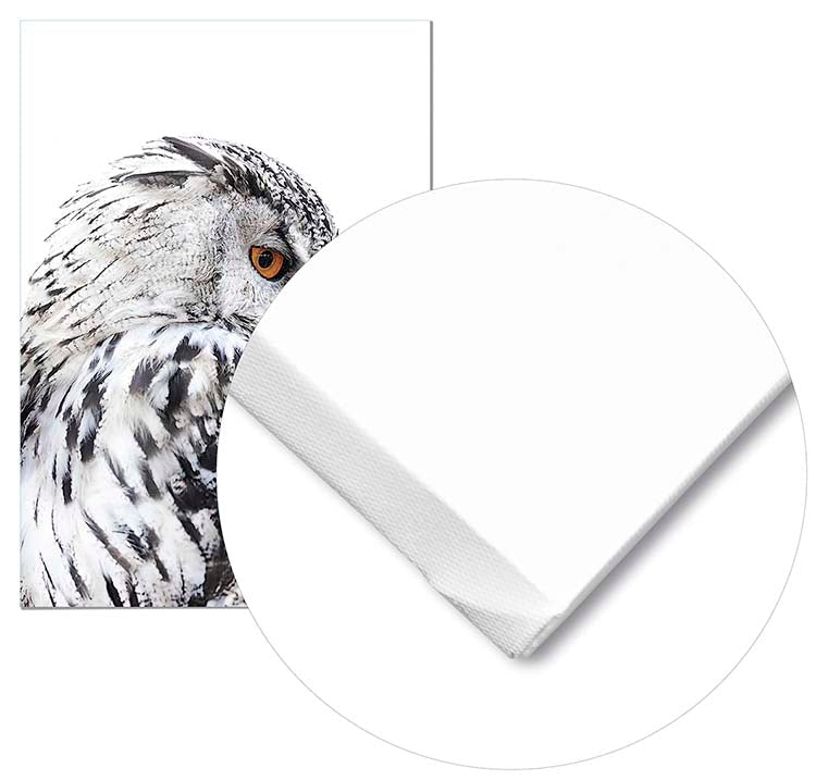 Cuadro Lechuza Perfil Izquierdo Home & Living 