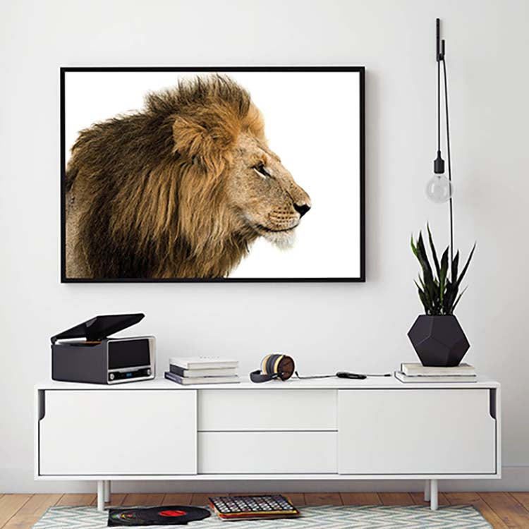 Cuadro León Home & Living 