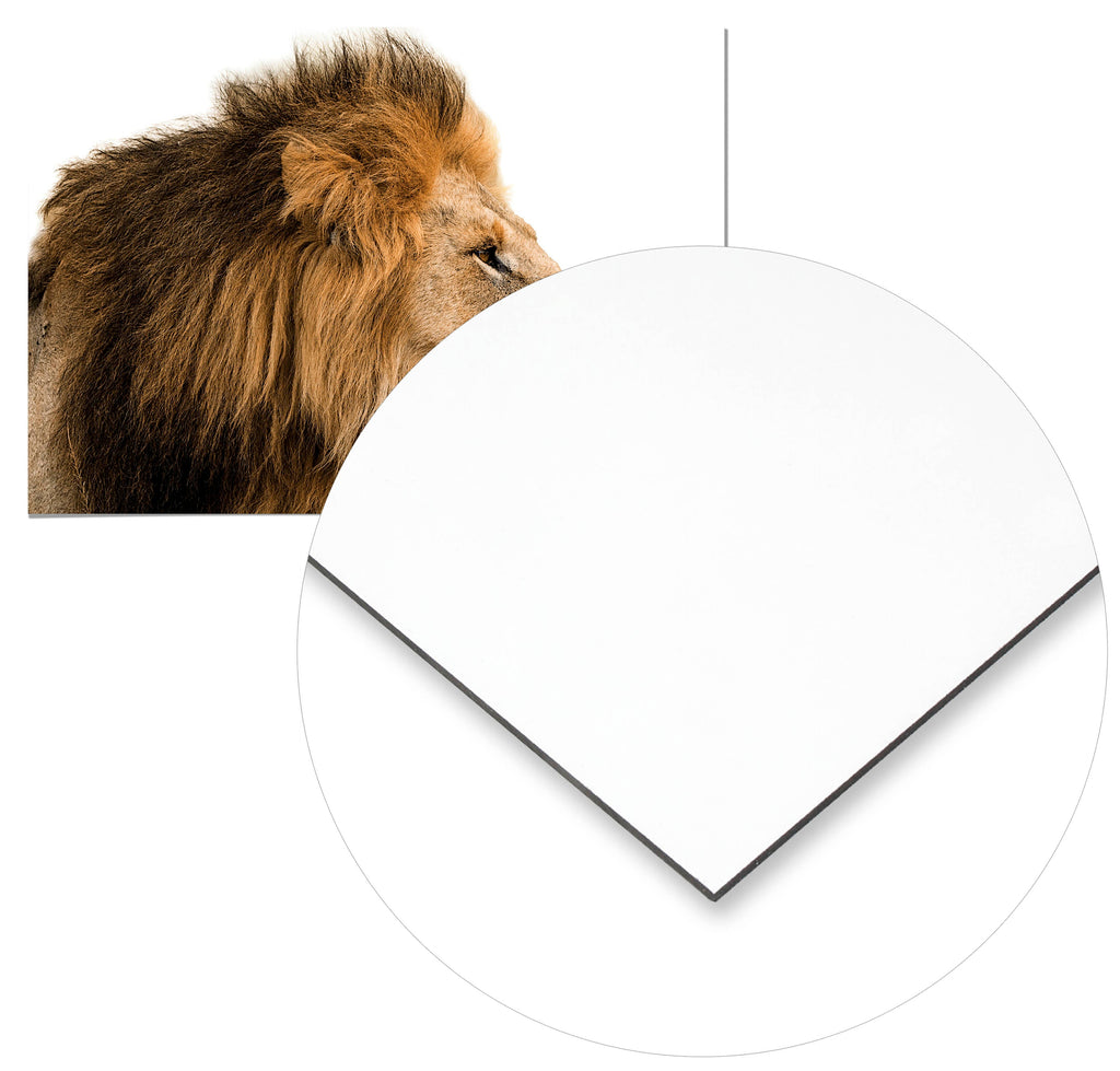 Cuadro León Home & Living 