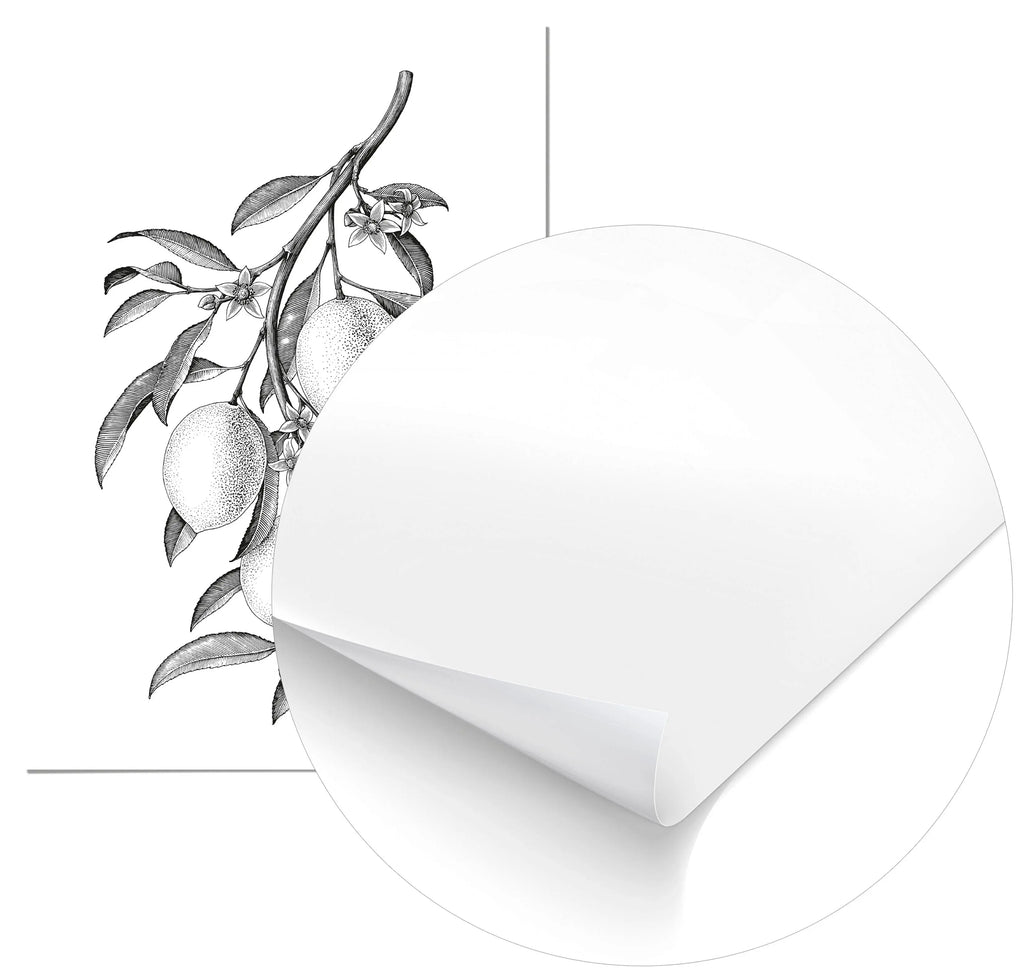 Cuadro Limones freeshipping - Home and Living