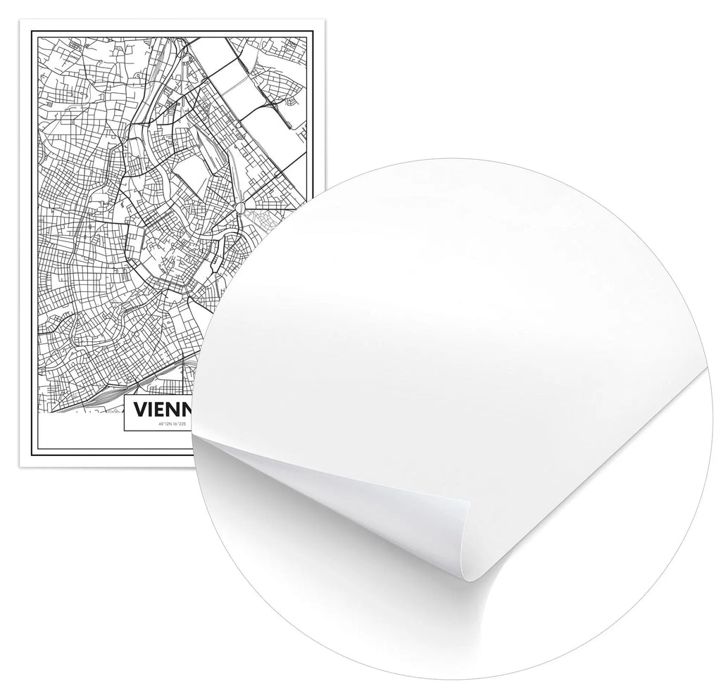 Cuadro Mapa Viena freeshipping - Home and Living