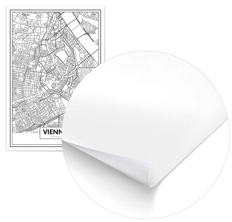 Cuadro Mapa Viena Home & Living Póster70x100cm