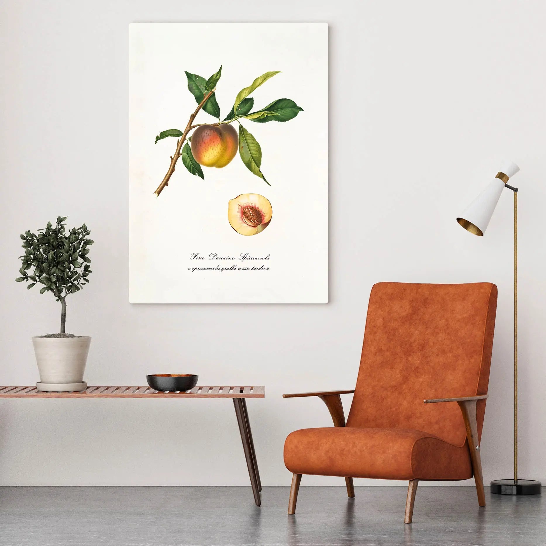 Cuadro Melocotón Amarillo Vintage freeshipping - Home and Living