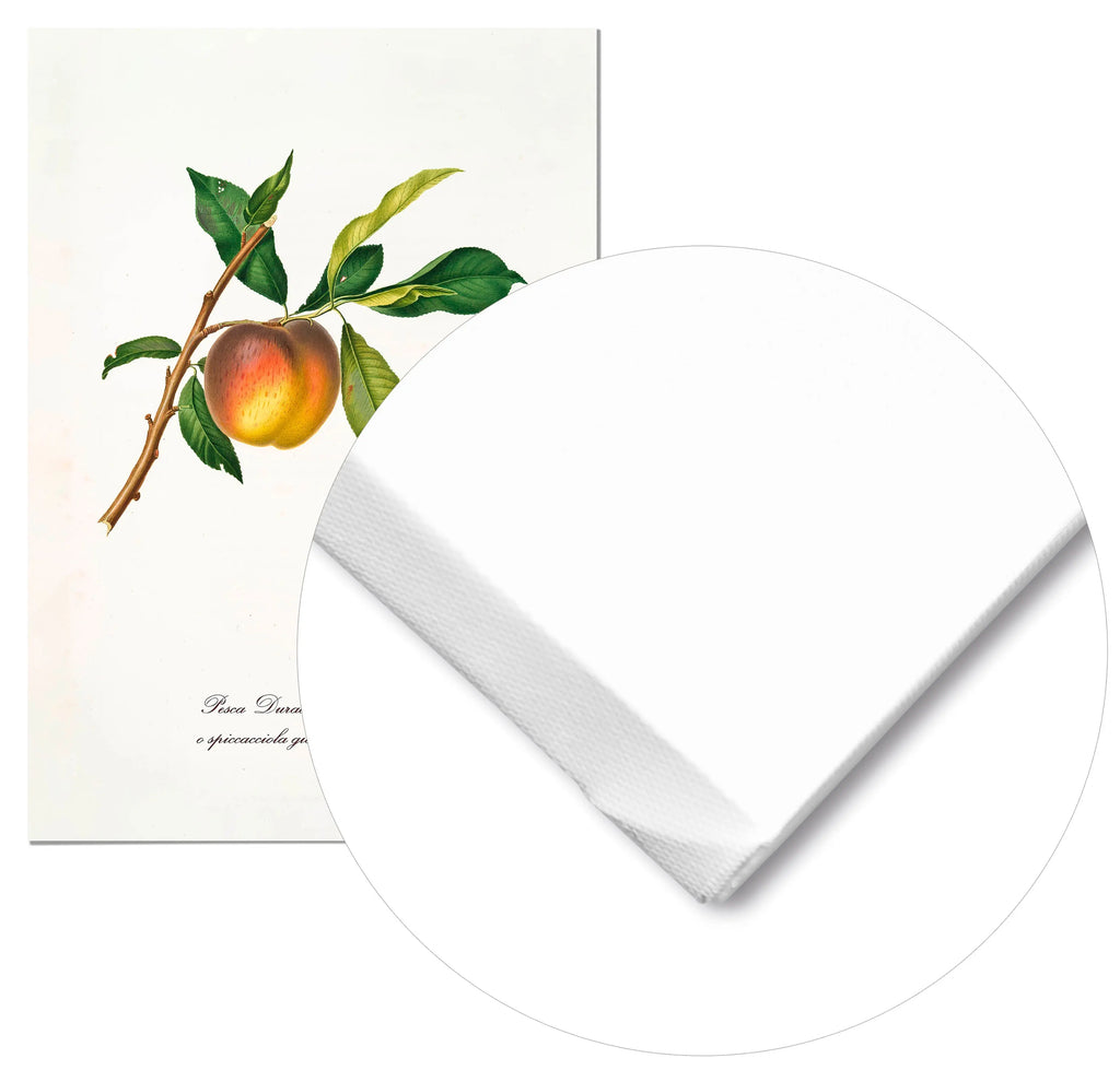 Cuadro Melocotón Amarillo Vintage Home & Living Lienzo70x100cm