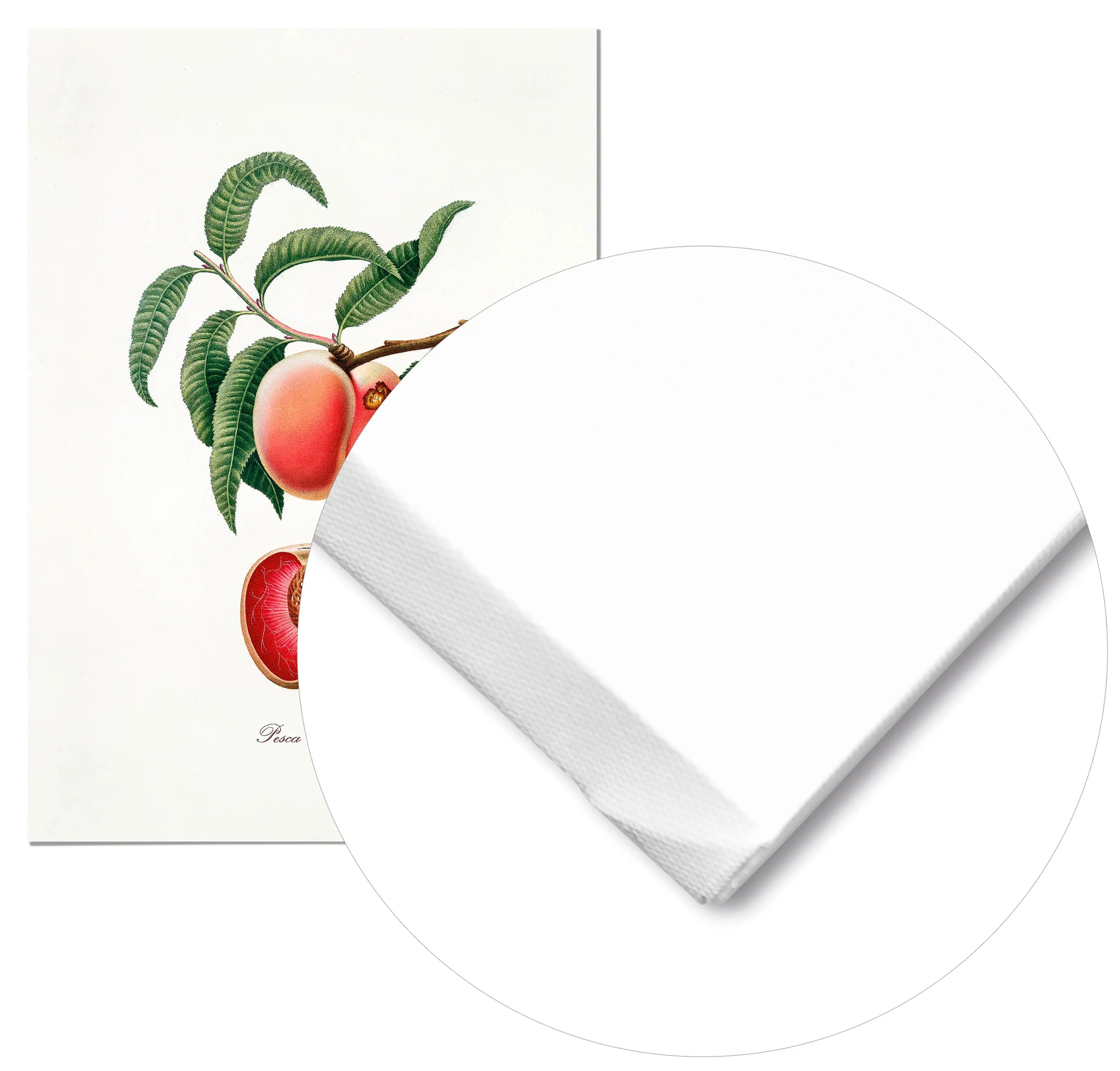 Cuadro Melocotón Vintage Home & Living Lienzo70x100cm