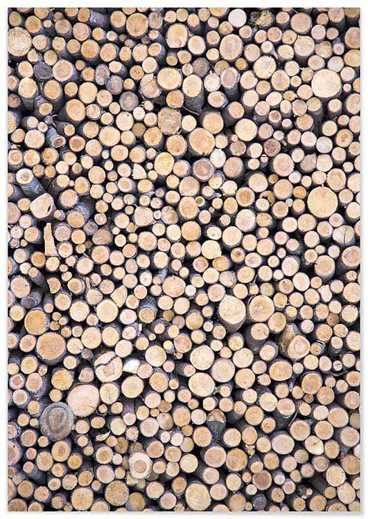 Cuadro Mural Madera Home & Living 