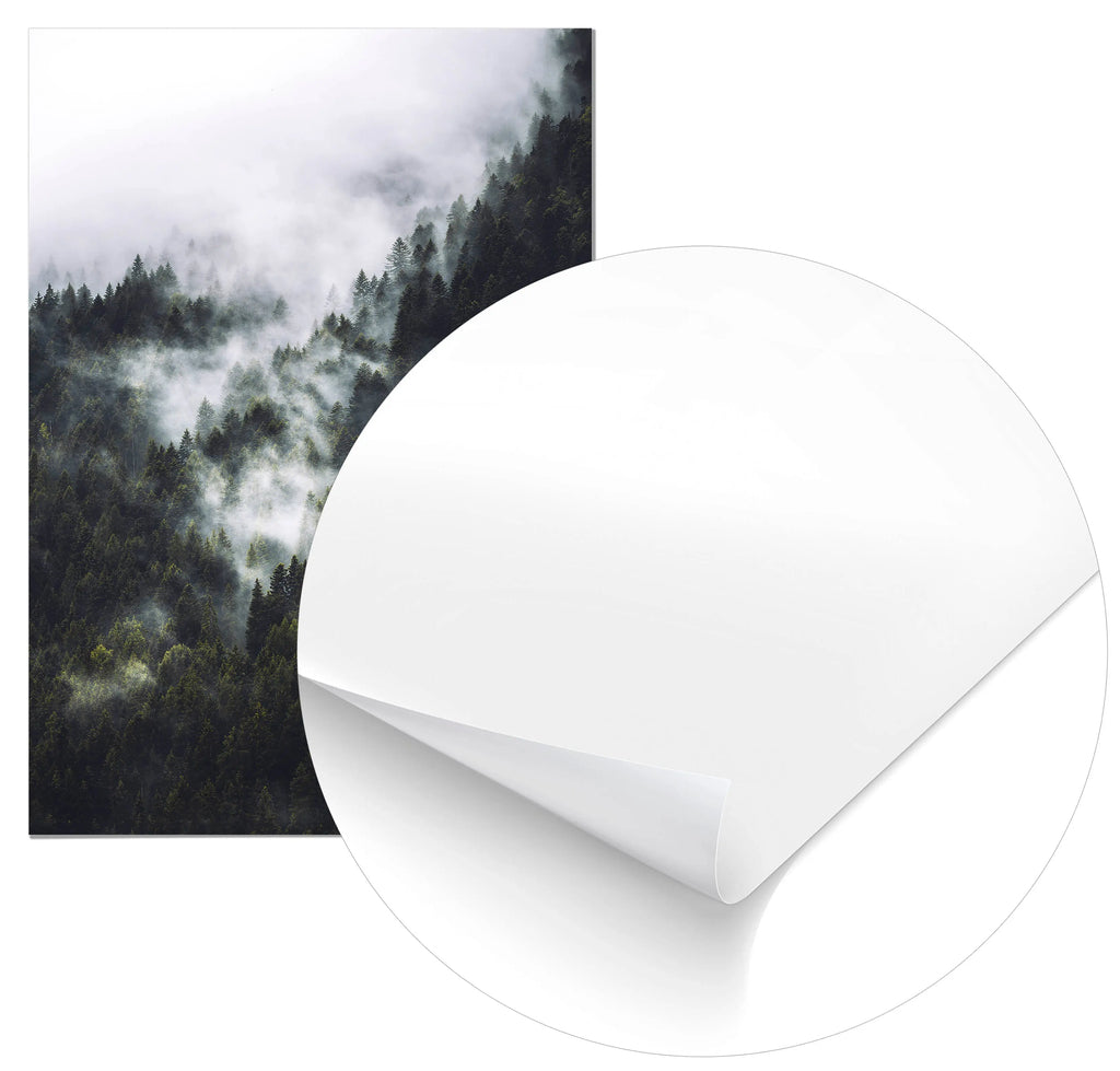 Cuadro Niebla en el Bosque freeshipping - Home and Living