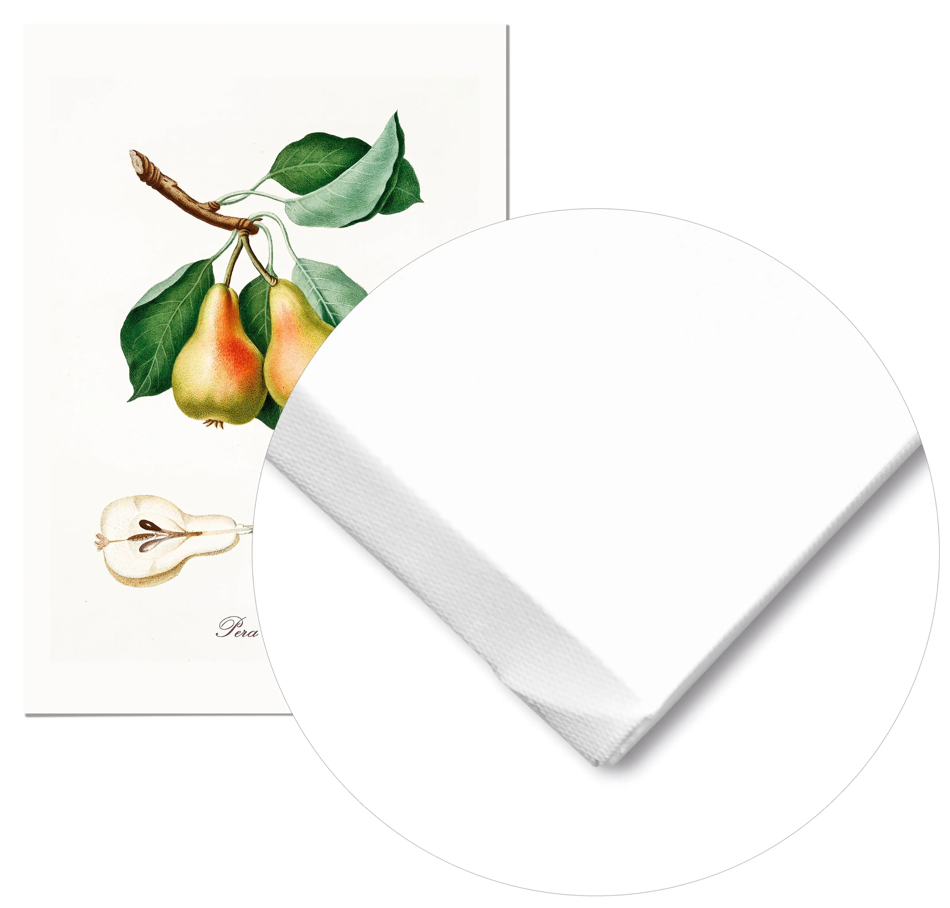 Cuadro Pera Vintage Home & Living Lienzo70x100cm