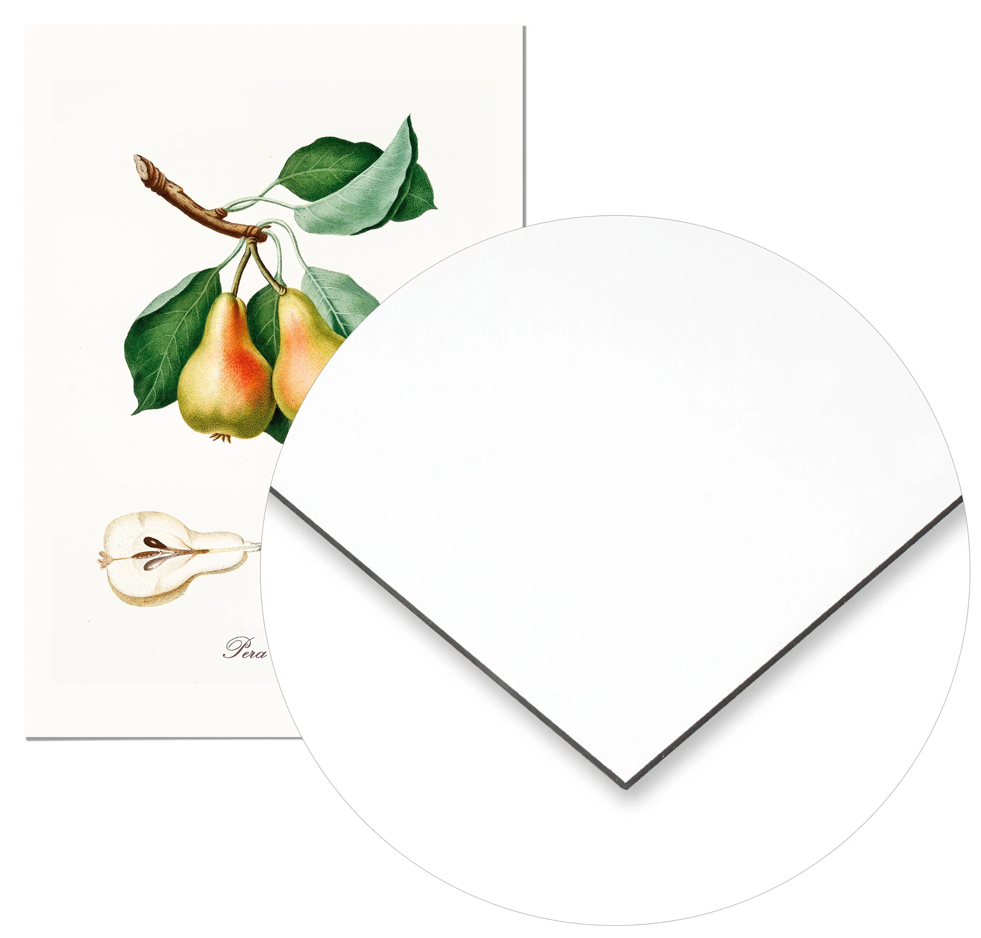 Cuadro Pera Vintage Home & Living Metal70x100cm