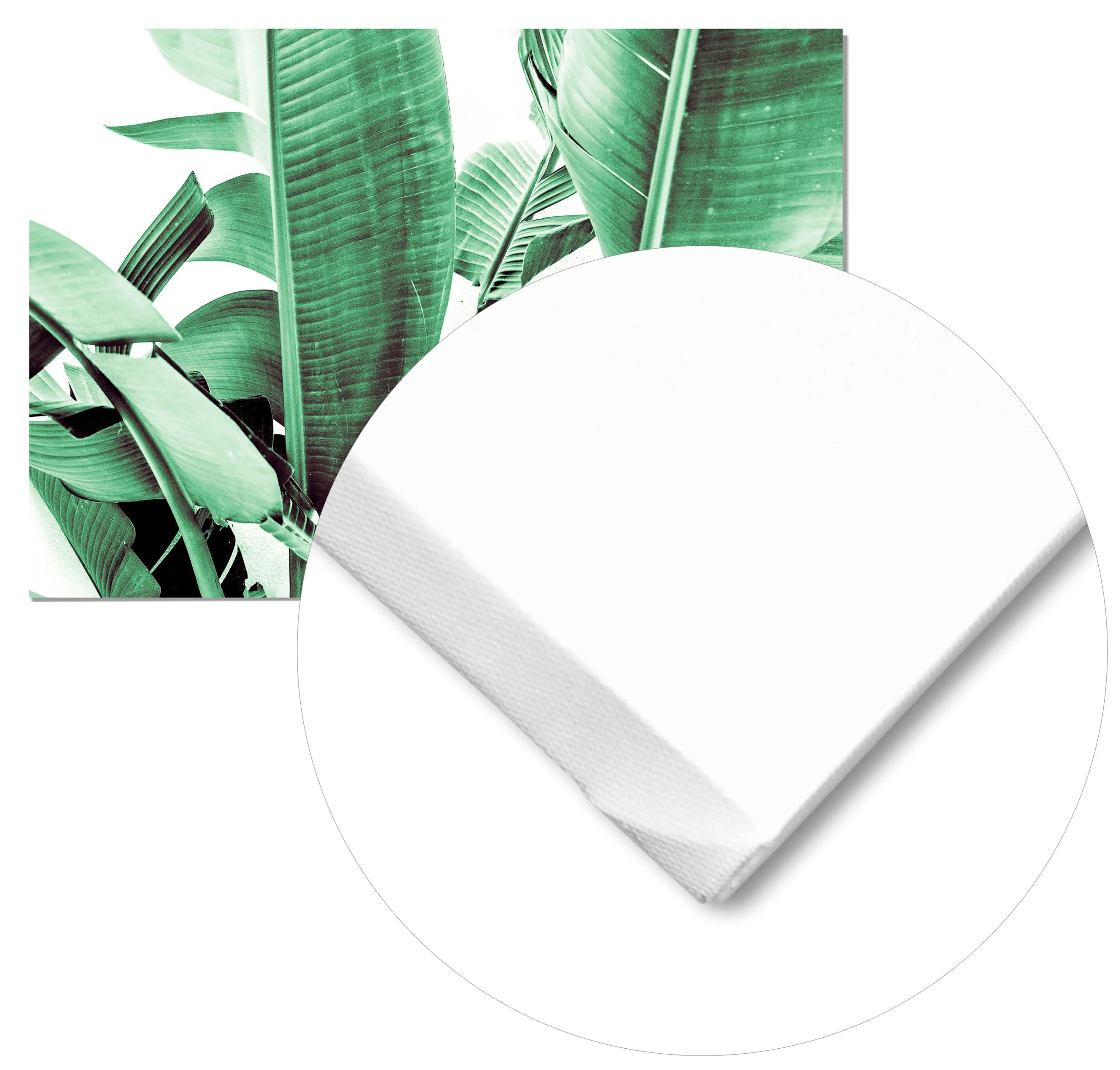 Cuadro Platanera Home & Living Lienzo100x70cm