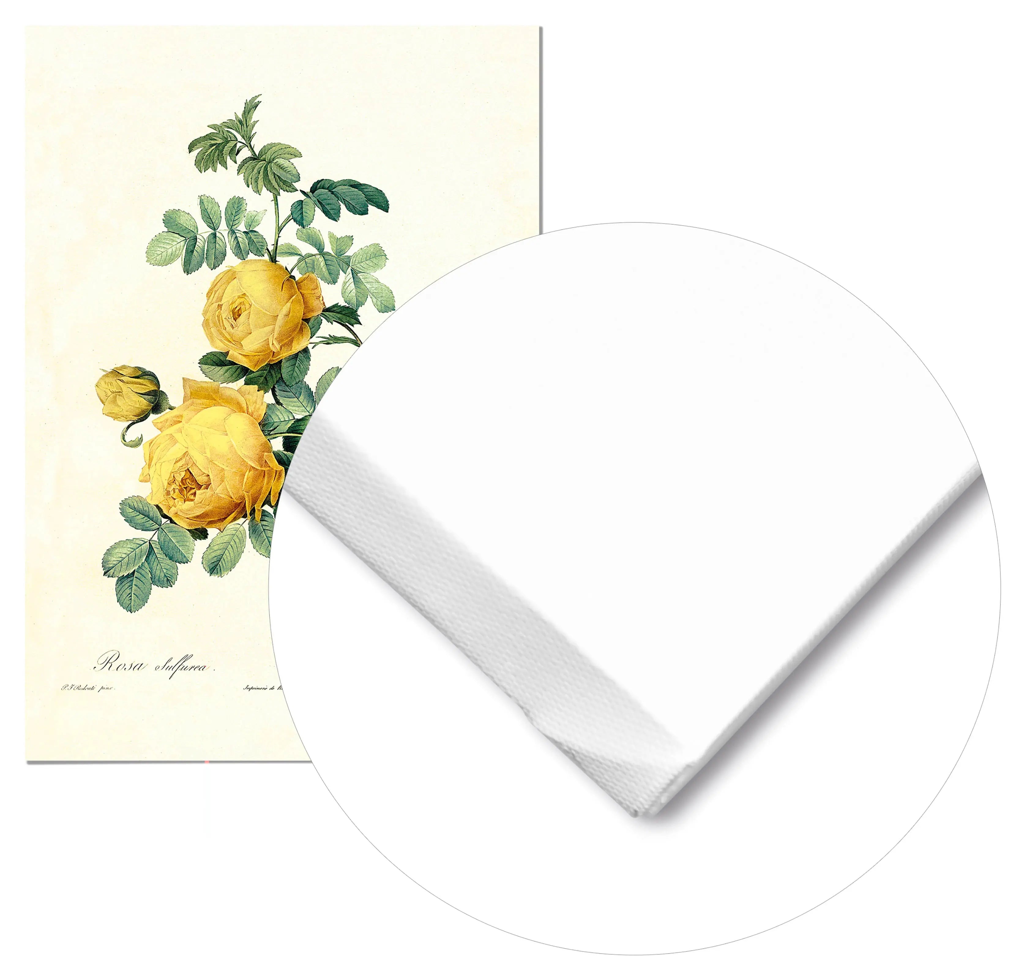 Cuadro Rosa Amarilla Vintage Home & Living Lienzo21x30cm