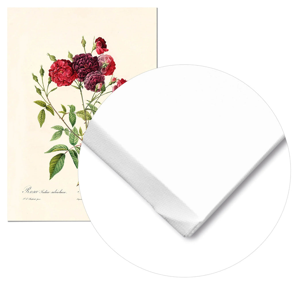 Cuadro Rosa Borgona Vintage Home & Living Lienzo70x100cm