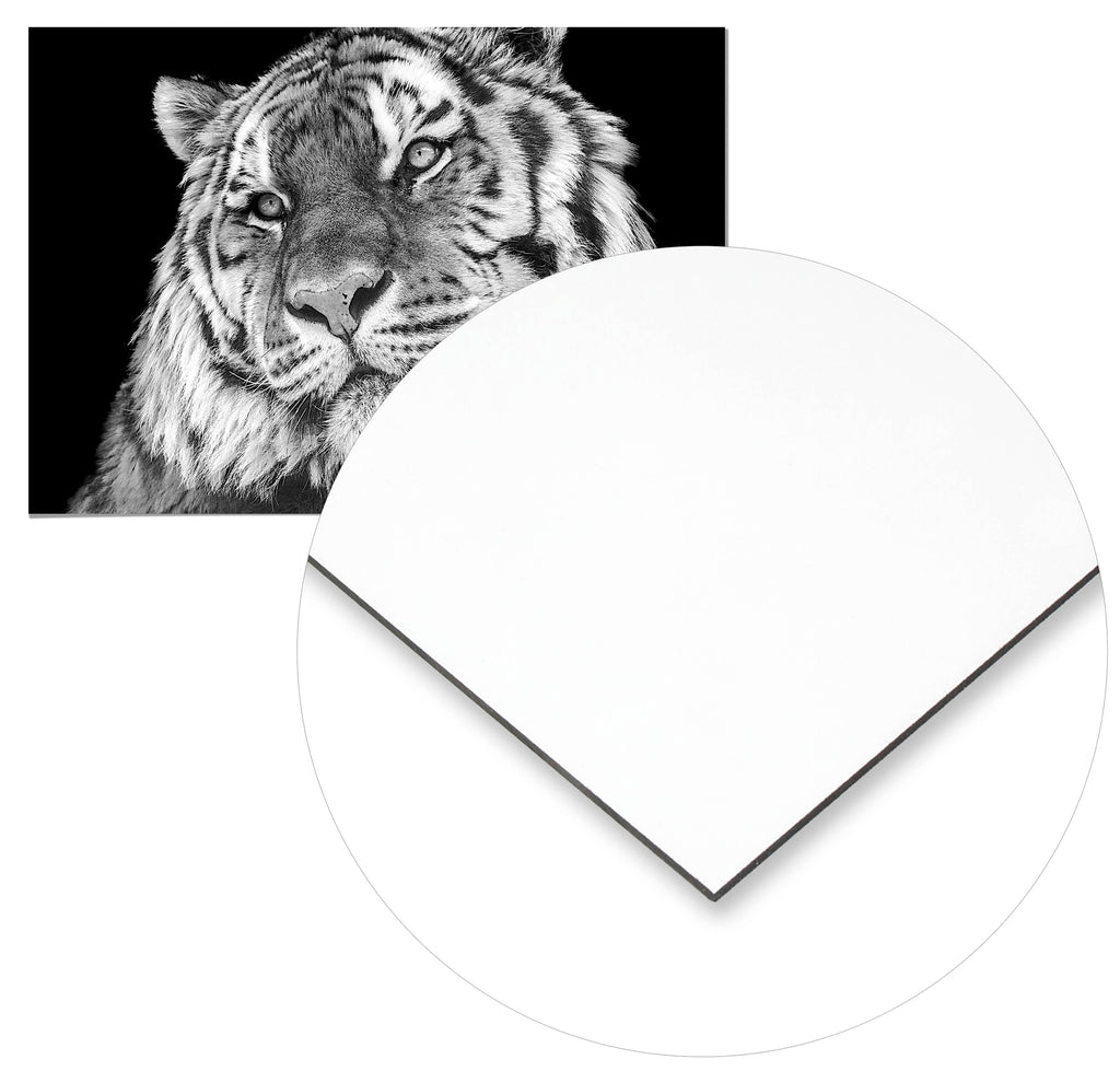 Cuadro Tigre Home & Living 