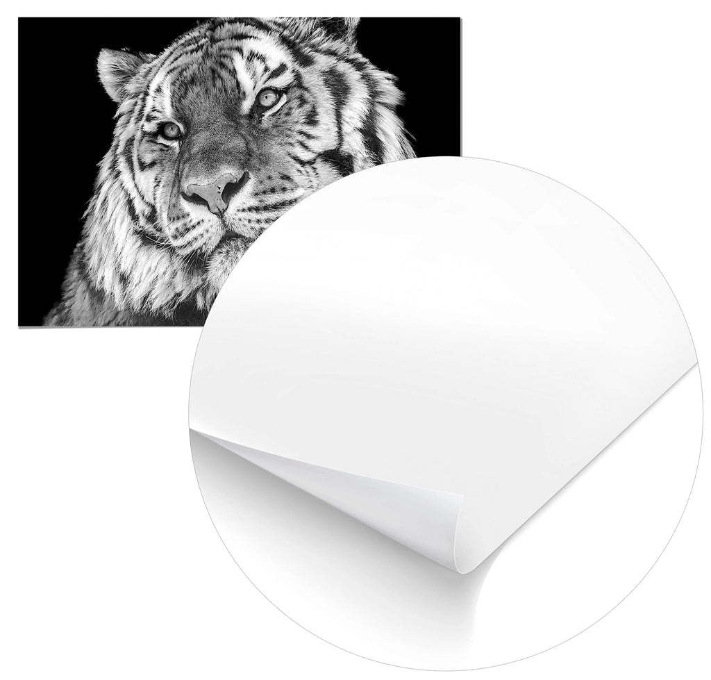 Cuadro Tigre Home & Living 